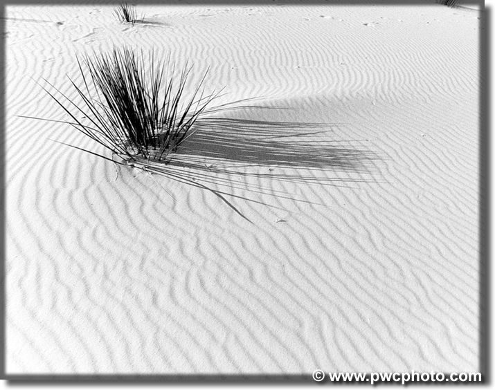 Picture of White Sands New Mexico