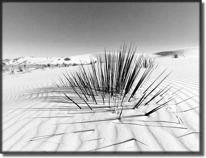 Picture of White Sands New Mexico