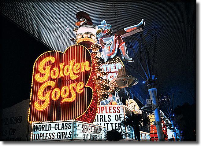 Picture of Golden Goose Casino