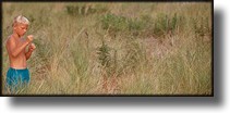 Color picture of a boy in a field