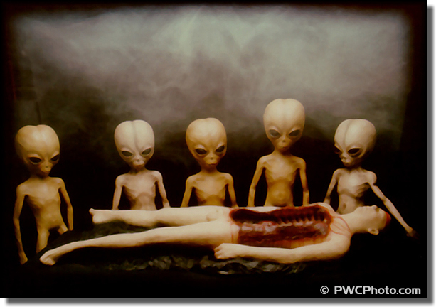 Alien Buffet Lunch