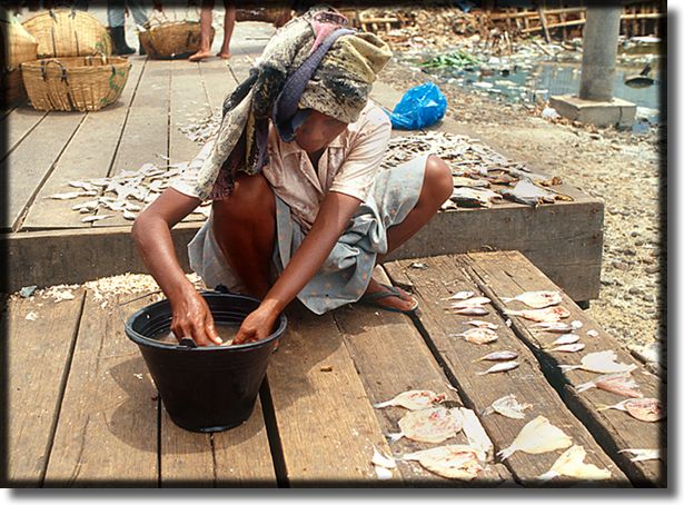 lady in fish market, north jakarta, indonesia