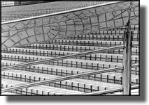 Stairway and Railing, Black and white photography of Hong Kong