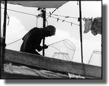 Fisherman on Fishing Junk, Aberdeen, Hong Kong