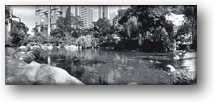 Hong Kong Central District Park Photograph